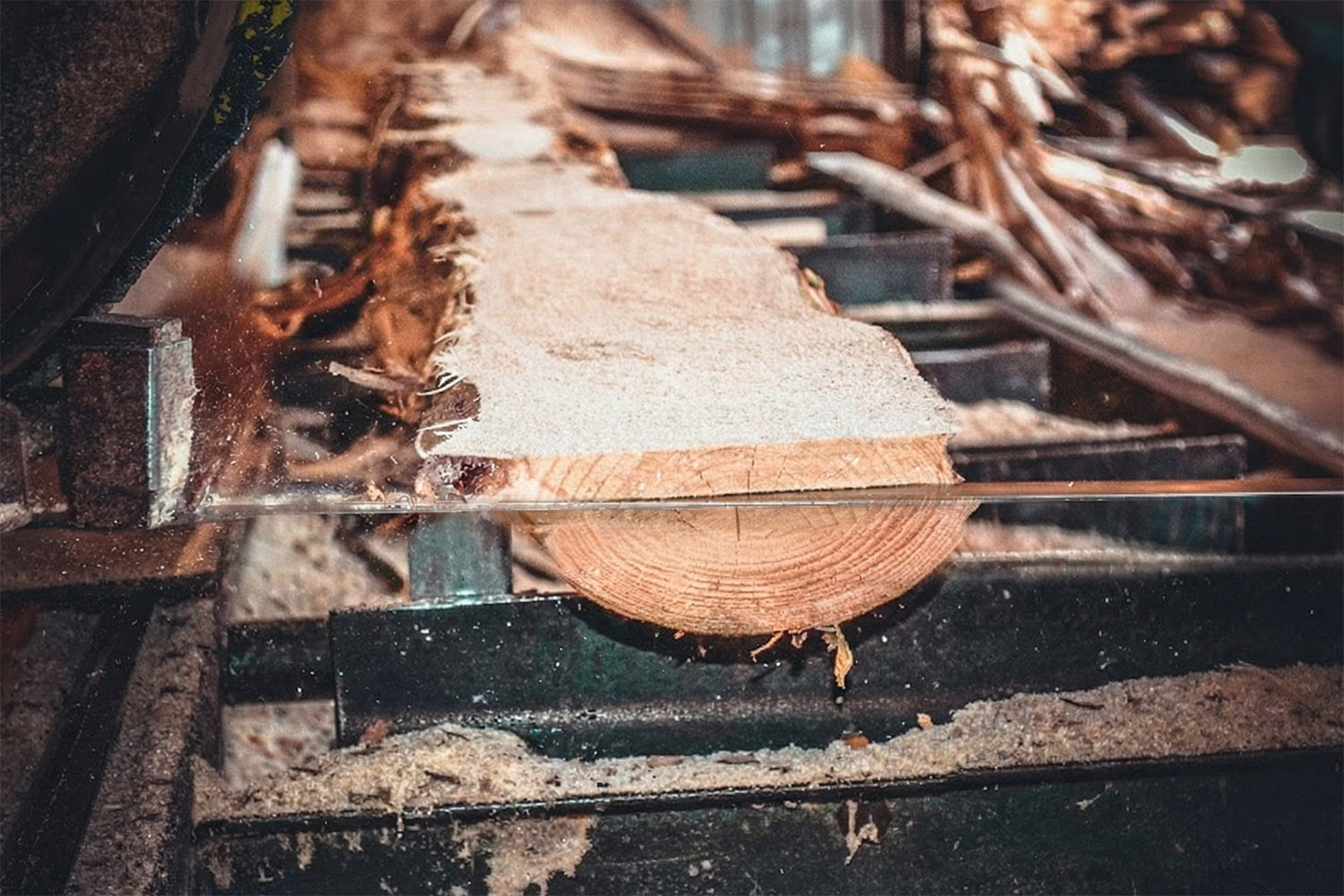 Zpracování dřeva na pile Častolovice